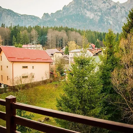 Casa Maia Maison d'hôtes Buşteni